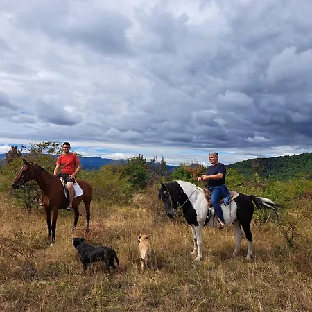 公寓 Nature Nest Vise Selo